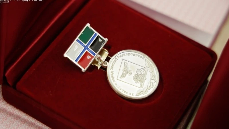 Вячеслав Гладков рассказал о награждении белгородцев в преддверии Дня народного единства