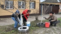 Новооскольцы продолжили наводить порядок в рамках месячника добровольного служения