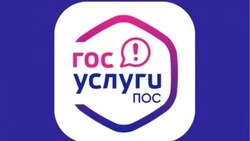 Почти 24 тысячи обращений белгородцев поступило через Платформу обратной связи с начала года
