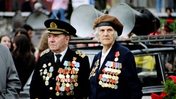 Белгородцы смогут поддержать проект «Дорога памяти» и сформировать базу героев