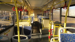 Водители автобусов не смогут высаживать детей-безбилетников из общественного транспорта