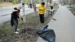 Новооскольцы продолжили серию субботников в рамках месячника добровольного служения