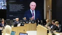 Вячеслав Гладков сообщил о ходе централизованной заготовки дров для жителей ИЖС на случай блэкаута