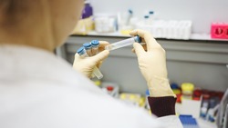 Власти намерены запустить тестирование белгородцев на антитела во второй половине лета