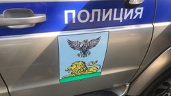 31 ДТП произошло на территории Новооскольского округа в 2024 года