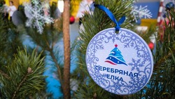 Новооскольцы старшего возраста  приняли участие в новогодней спортивной эстафете «Серебряная ёлка»
