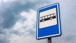 Белгородские власти приобрели 24 новых школьных автобуса
