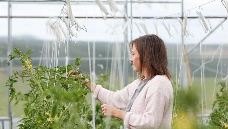 Вячеслав Гладков: на поддержку белгородских фермеров направили более 550 млн рублей в 2025 году