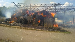Огонь уничтожил 6 тонн сена в хуторе Васильевка Новооскольского округа