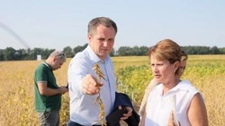  Вячеслав Гладков поздравил белгородских аграриев с Днём работника сельского хозяйства
