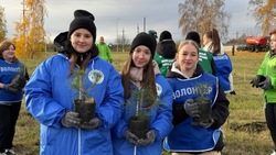 Более 245 тысяч добровольцев приняли участие в работе по охране лесов в Белгородской области 