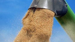 Власти обсудили условия поставок зерна на 2018 год
