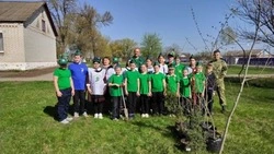 Новооскольские школьники вошли  в число победителей регионального этапа лесного конкурса «Подрост»