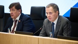 Вячеслав Гладков заслушал доклад о развитии туристического кластера в Холках Чернянского района