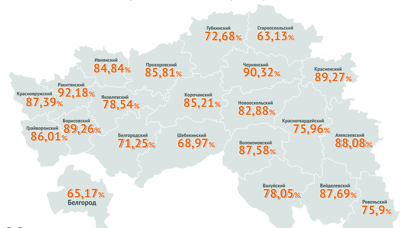 Карта городов голосования президента. Итоги голосования в Ивановской области за президента.