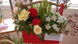 Работы новооскольских школьников заняли призовые места в выставке цветочно-декоративных растений