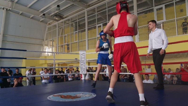 Первый межрегиональный турнир по боксу памяти Романа Лихачёва стартовал в Новом Осколе