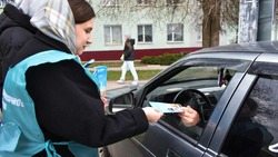 Волонтеры помогут белгородцам освоить новые платные парковки