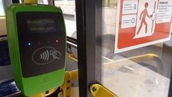 Белгородские многодетные семьи смогут получить компенсацию расходов на проезд детей к месту учебы