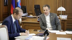 Вячеслав Гладков провёл совещание по земельным и имущественным вопросам