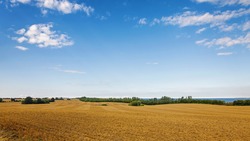 Аграрии засеяли зерновыми и зернобобовыми культурами 96% площади их ярового клина