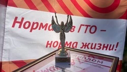 Фестиваль ГТО собрал активных жителей села Оскольское