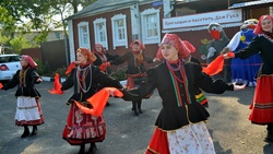 «Праздник Гуся» порадовал гостей тематической программой в селе Богородское