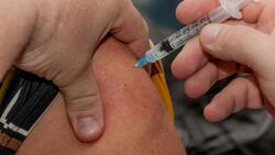 Белгородцы смогут сделать прививки от COVID-19 и гриппа одновременно