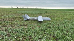 Украинский беспилотный летательный аппарат был обнаружен близ села Богородское Новооскольского ГО