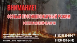 Особый противопожарный режим продлён на территории Белгородской области