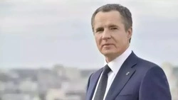 Вячеслав Гладков поздравил работников и ветеранов лесного хозяйства Белгородской области