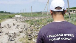 Андрей Миськов познакомился с условиями летнего трудоустройства школьников в КФХ Александра Пилюгина